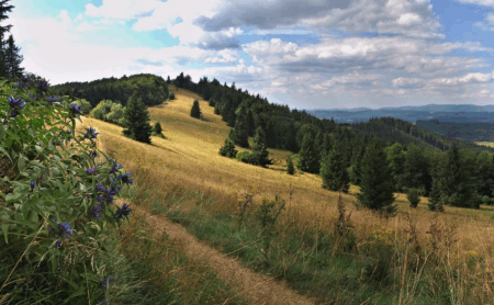 Kysucká krajina